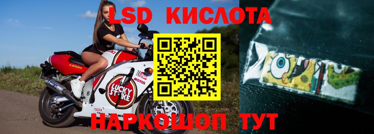 omg   Вход с VPN  ЛСД экстази кислота  Братск  LSD-25 экстази кислота 