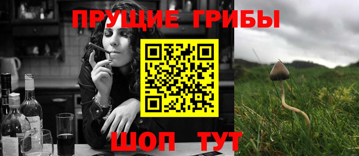 Псилоцибиновые грибы прущие грибы Братск